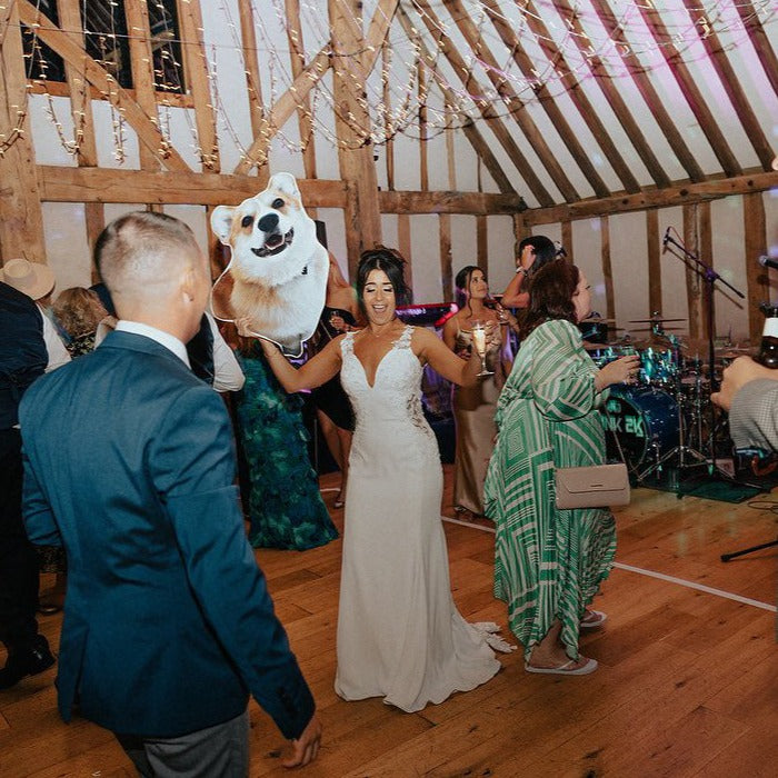 Have Your Pet Photo At Your Wedding