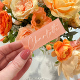 Coral Frosted Acrylic Place Card